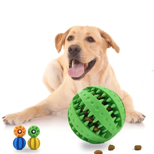 Chewsilon Interactive Rubber Balls for Small/Medium Dogs Chewing Toys
